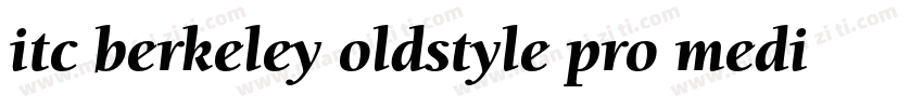 itc berkeley oldstyle pro medium字体转换